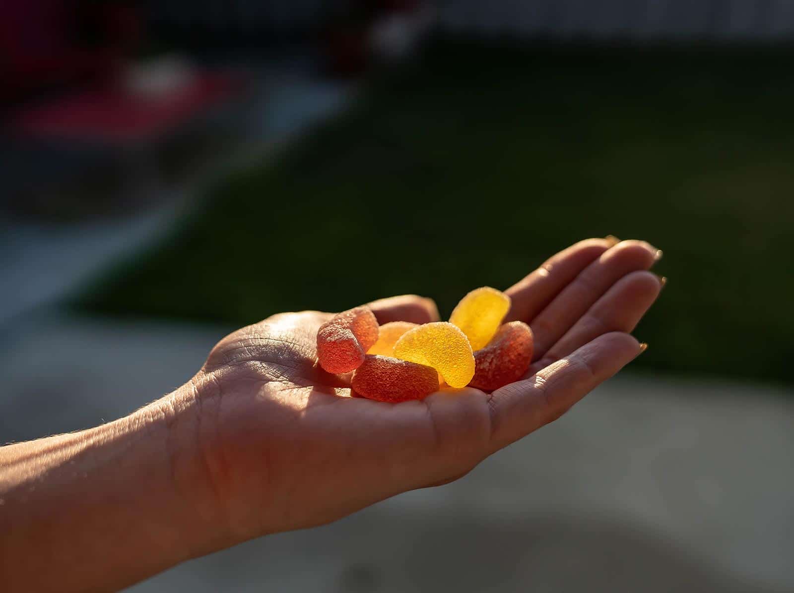 bonbon gélifié au CBD tendu par une main