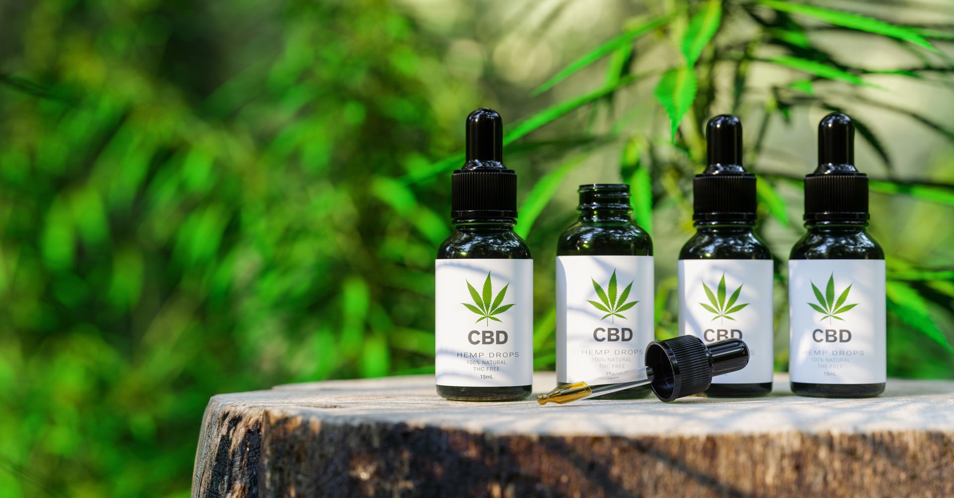 disposition de produits cbd dans des flacons