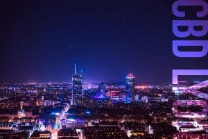 Vue de la ville de Lyon de nuit