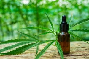 cbd fibromyalgie