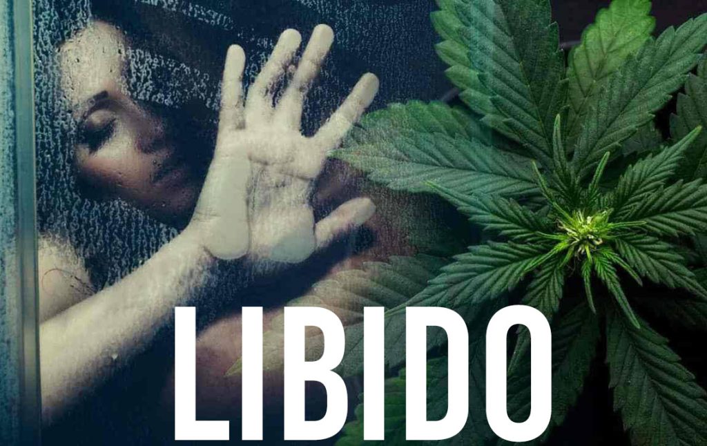 cbd libido aphrodisiaque