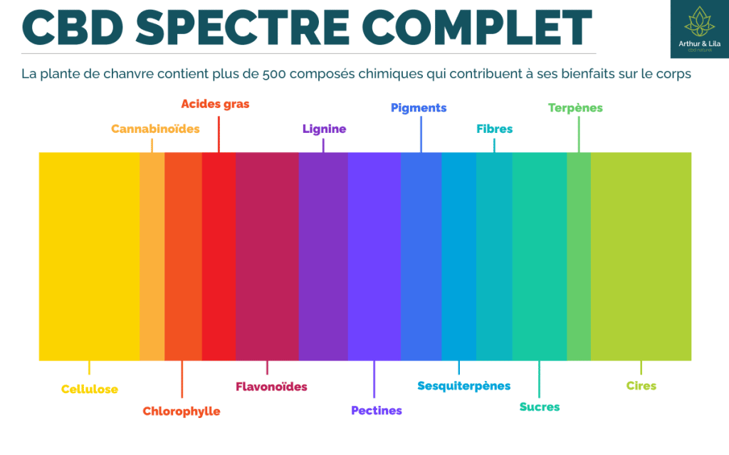 infographie sur les composants du cbd à spectre complet