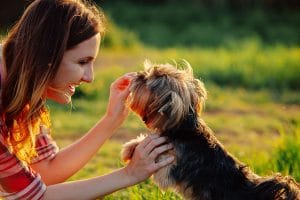 femme qui donne une friandise au cbd à son chien