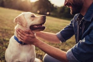 chien heureux qui prend du cbd