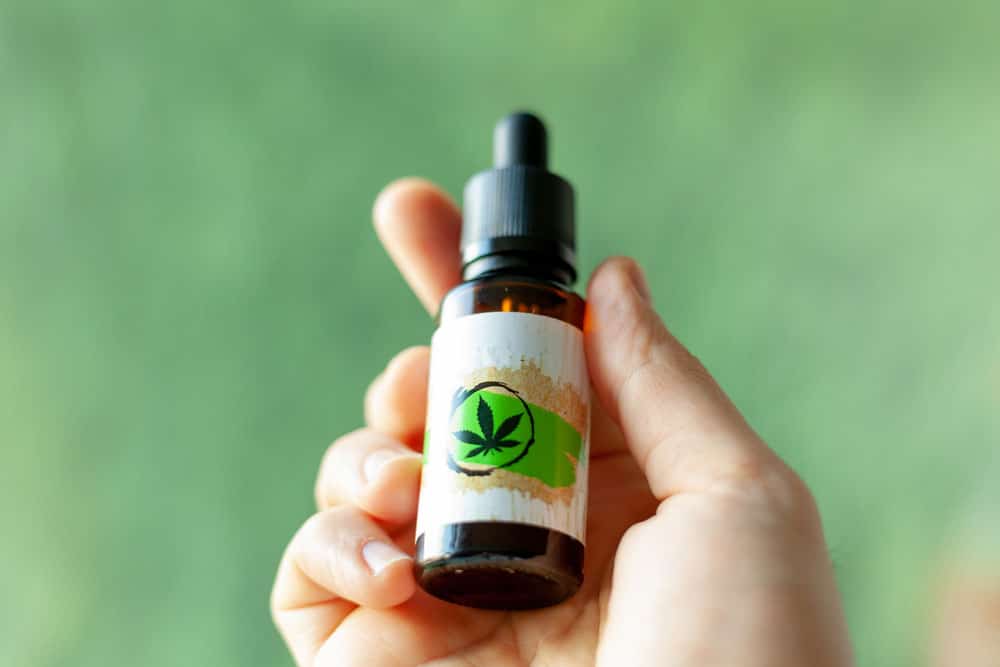 huile de cbd spéciale pour animaux